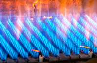 Crawleyside gas fired boilers